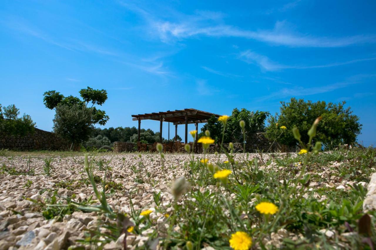 מרינה די פסקולוזה Antica Masseria Ficazzana - Tenuta מראה חיצוני תמונה